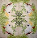 055 Parrot - 3-ply - Converting 2007 - Illustrateo Escapes